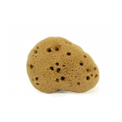cose della natura  Spugna fine dama Lavata 5-6 gr  Spugne e accessori corpo