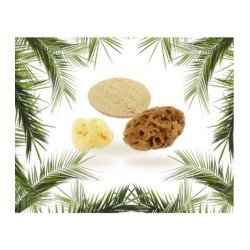 cose della natura  Starter Kit Viso  Spugne e Accessori Viso