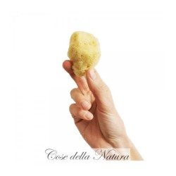 cose della natura  Spongella M - Spugna Mestruale 5/6 cm  Assorbenti