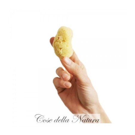 cose della natura  Spongella S - Spugna Mestruale 4/5 cm  Assorbenti