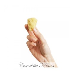 cose della natura  Spongella XS - Spugna Mestruale 3/4 cm  Assorbenti