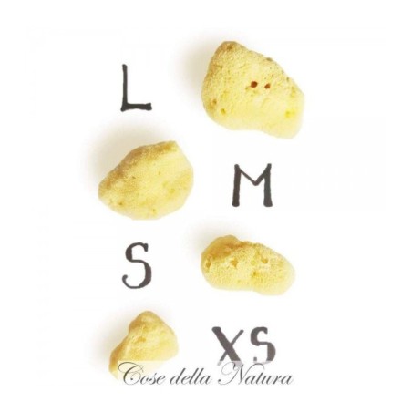 cose della natura  Spongella XS - Spugna Mestruale 3/4 cm  Assorbenti