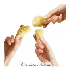 cose della natura  Spongella Mix Pack  Assorbenti