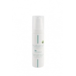 naturaequa  Crema viso purificante  Creme viso