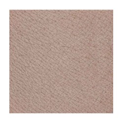 neve cosmetics  Matita Occhi Neutra Champagne - Classics  Matite occhi