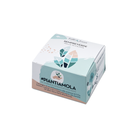 latte e luna  Box Regalo Piantamola - Ninfea  Idee regalo