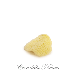cose della natura  Flatty Sponge - Petalo di Mare  Spugne e Accessori Viso