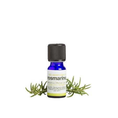 la saponaria  Olio essenziale di Rosmarino  Oli Essenziali