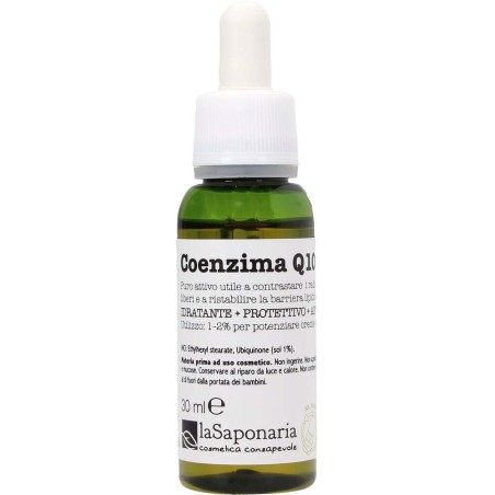 la saponaria  Coenzima Q10  Booster e attivi