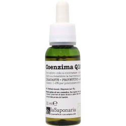 la saponaria  Coenzima Q10  Booster e attivi
