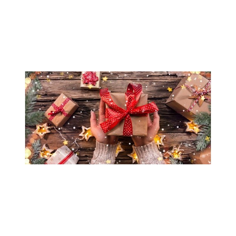 Sacchetto Regalo - Natale  Home