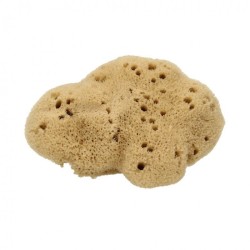 cose della natura  Spugna Fine Dama Lavata - 8/10 gr  Spugne e accessori corpo
