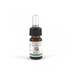 antos cosmetici  Olio per Cuticole  Cura Mani e Unghie