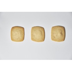 banda biscotti  Bicciolani all'Avena  Biscotti