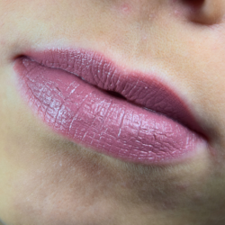 avril  Rossetto Rosa - Rose Poupée  Rossetti