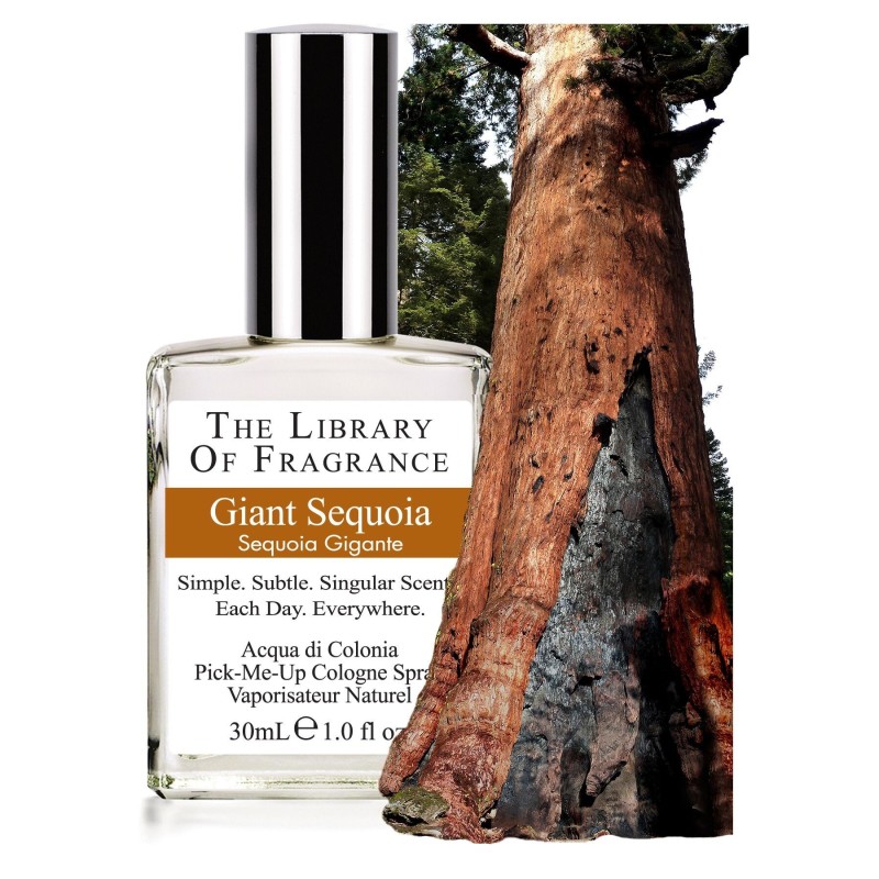 the library of fragrance  Profumo Naturale - Sequoia Gigante  Profumi