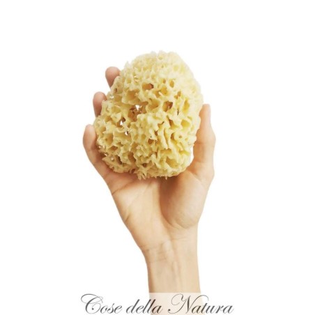 cose della natura  Spugna arcipelago sbiancata - 6/8 gr  Spugne e accessori corpo