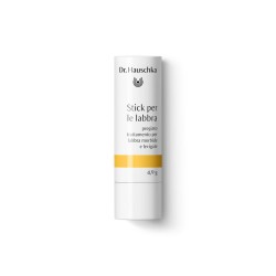 dr. hauschka  Stick per le Labbra  Cura delle labbra