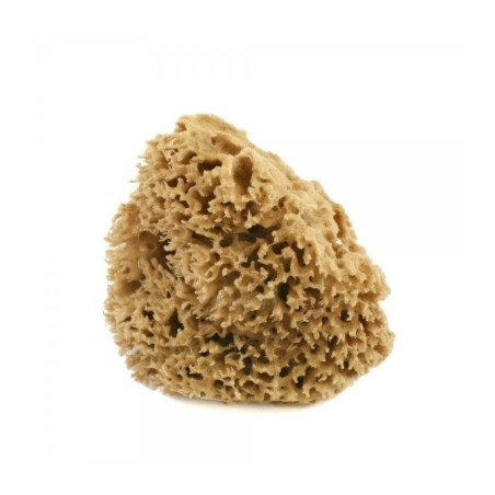 cose della natura  Spugna arcipelago Lavata - 5/6 gr  Spugne e accessori corpo