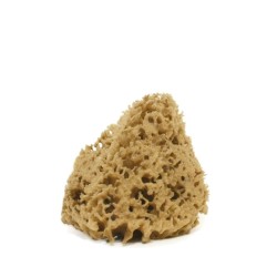 cose della natura  Spugna arcipelago Lavata - 5/6 gr  Spugne e accessori corpo