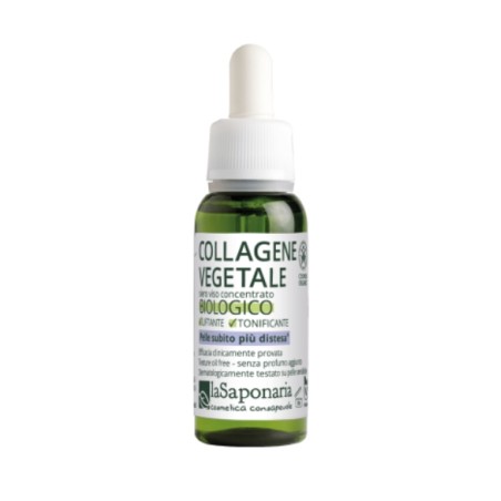 la saponaria  Collagene Vegetale  Booster e attivi