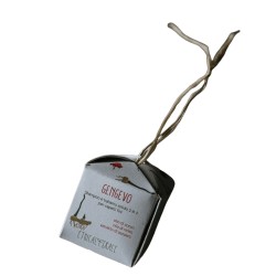 ethical grace  Shampoo e Balsamo Solido 2 in 1 - Gengevo Volumizzante  Cosmetici solidi per capelli