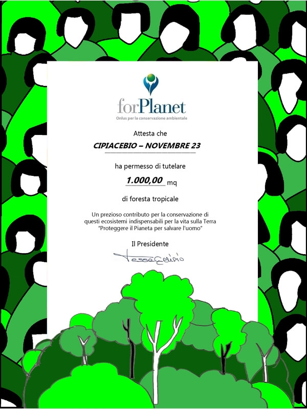 Primi 1000mq di foresta pluviale salvati da Cipiacebio